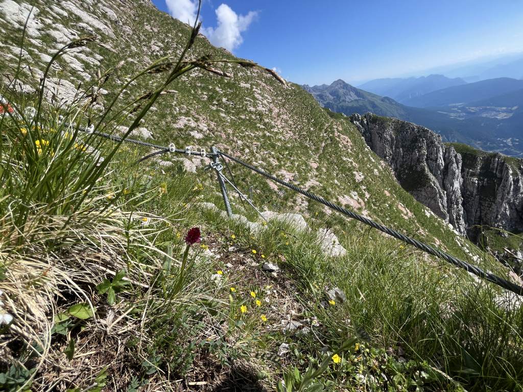 Dion - Soran 2399 m......Brenta